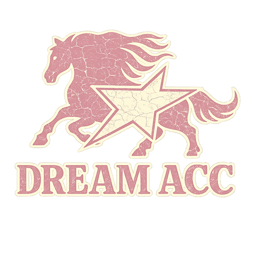 DreamAcc